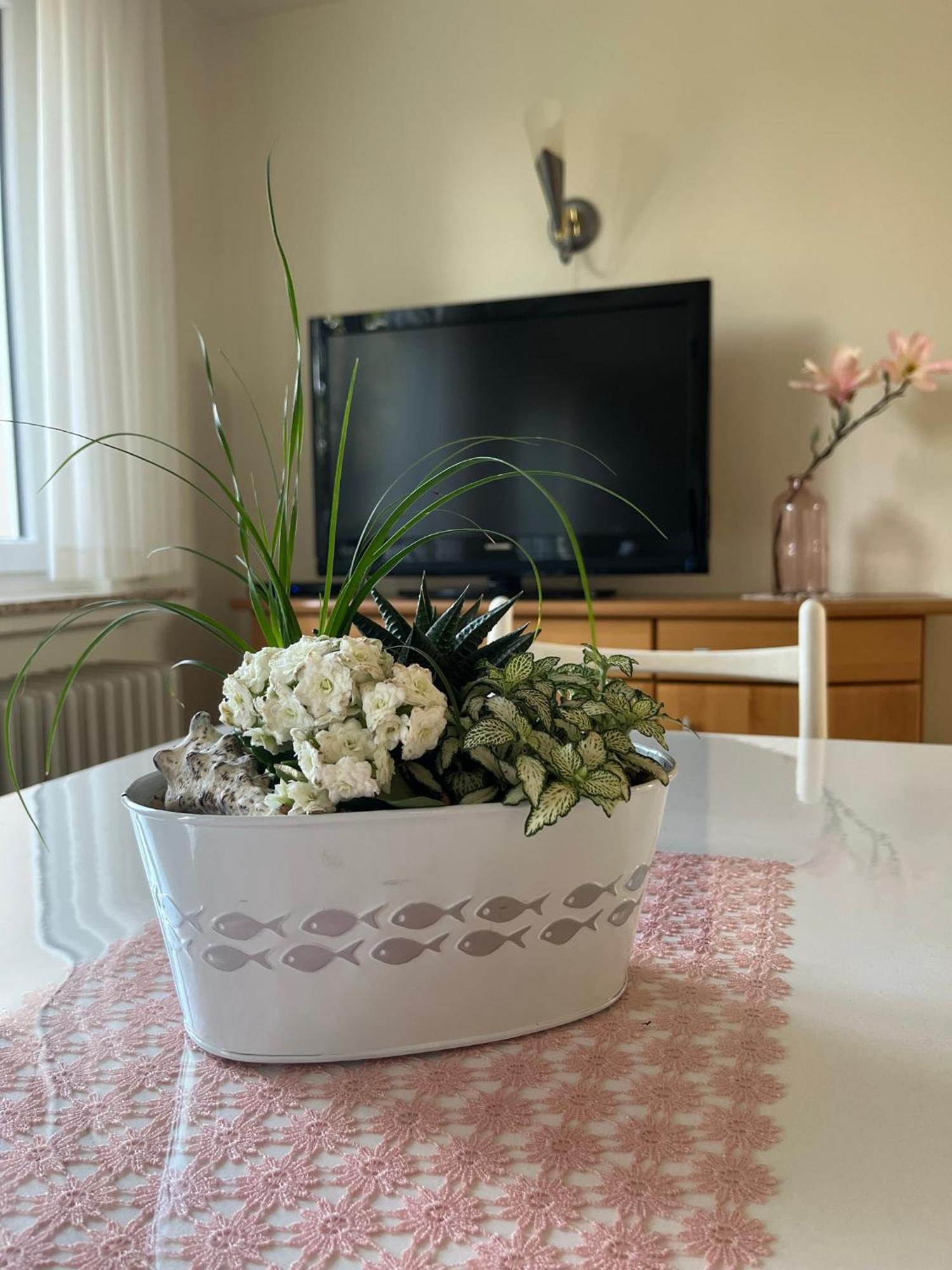 Schoene Wohnung, Bodenseenaehe ราเวนส์บวร์ก ภายนอก รูปภาพ