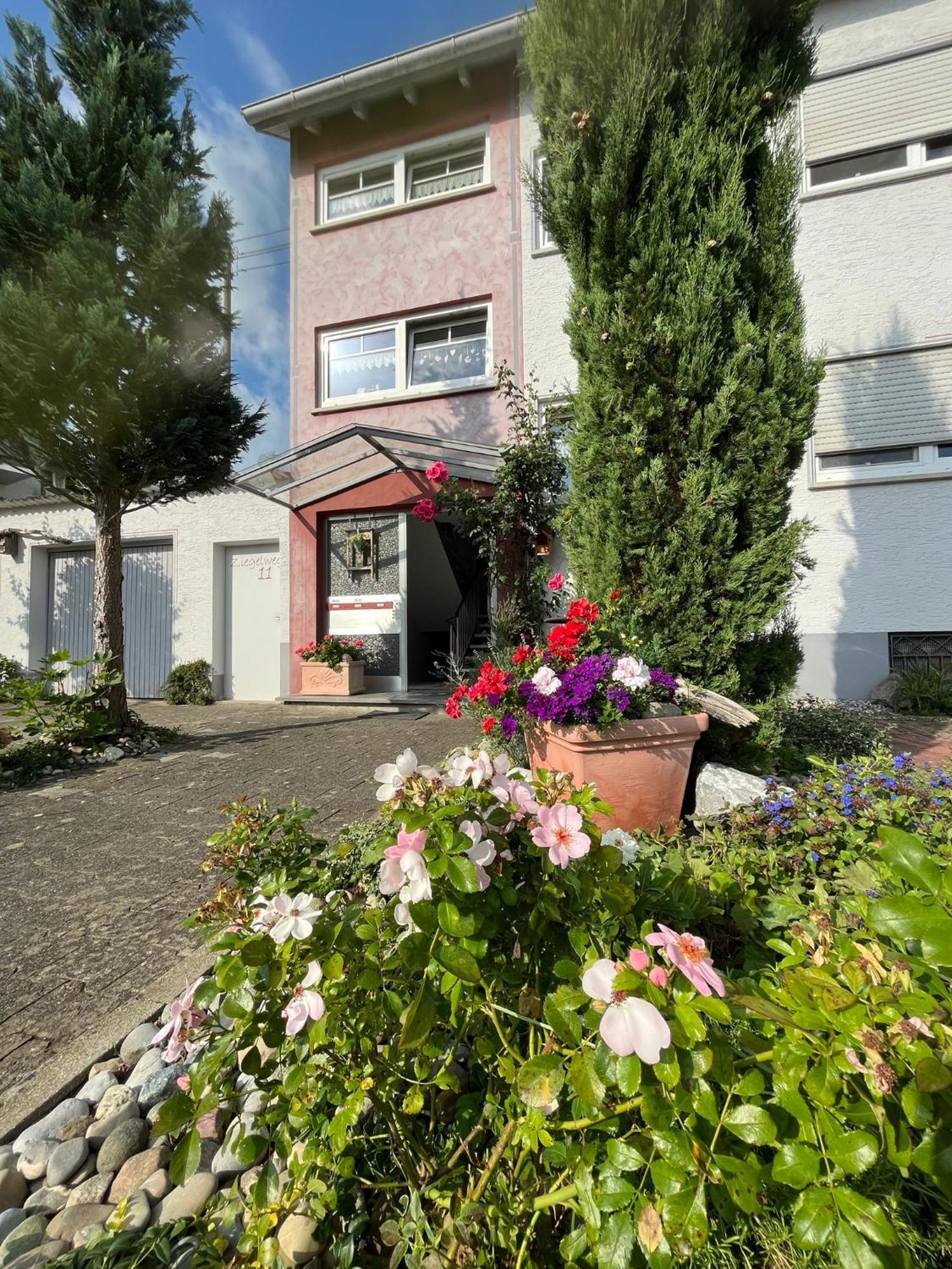 Schoene Wohnung, Bodenseenaehe ราเวนส์บวร์ก ภายนอก รูปภาพ